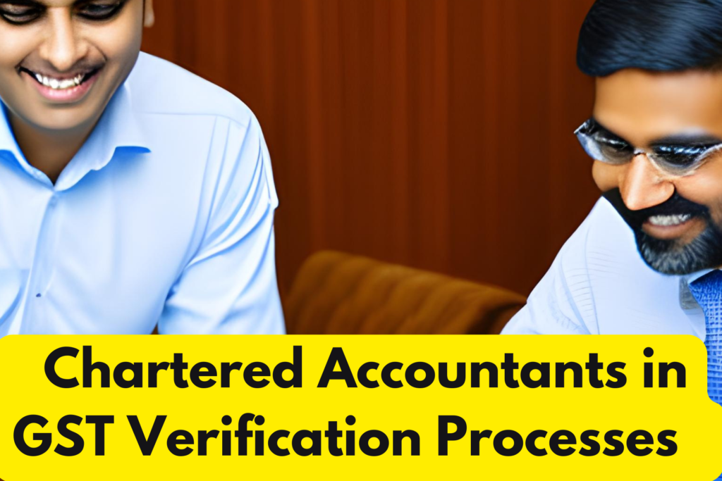 Accountants in GST Verification